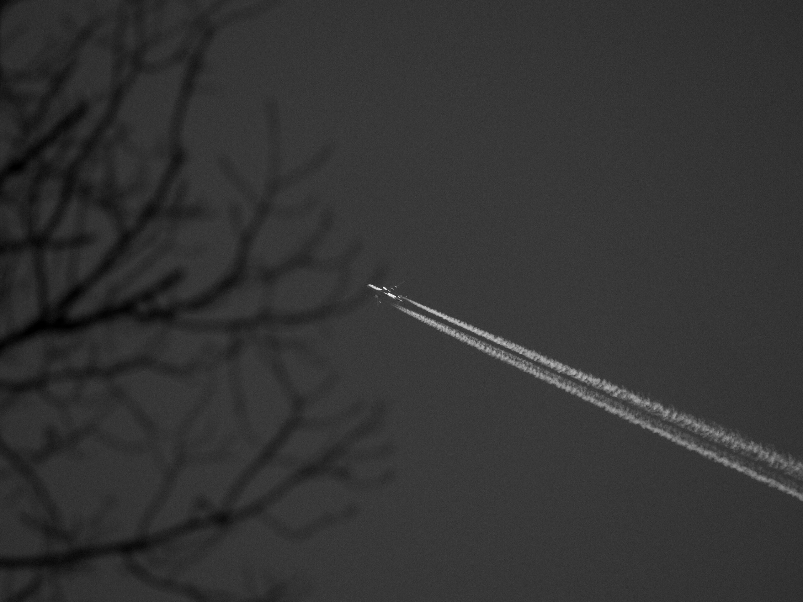 P3046140