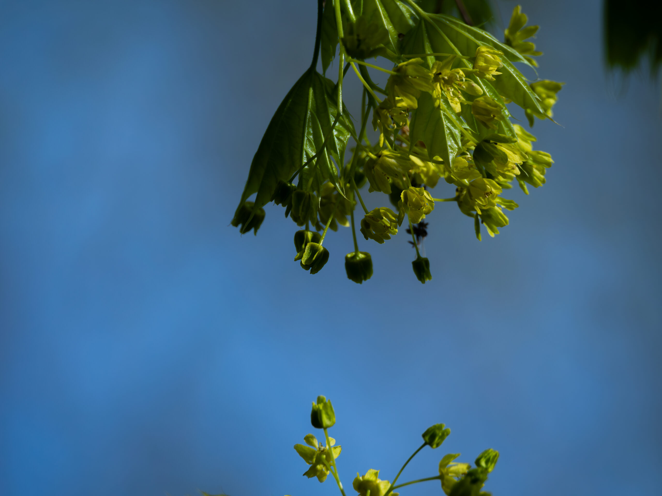 P4301412