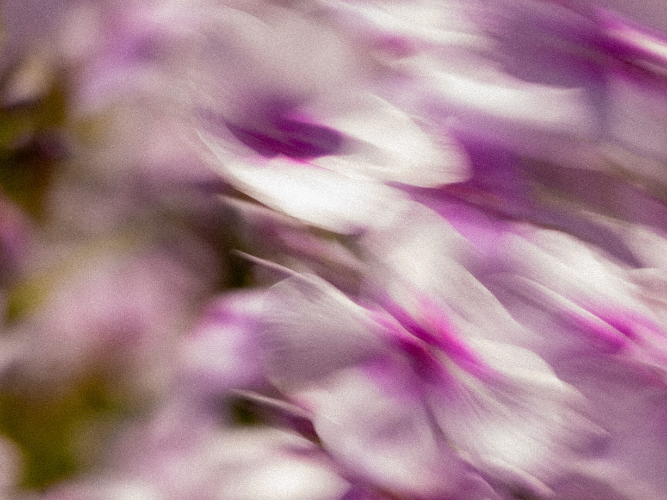P6282265