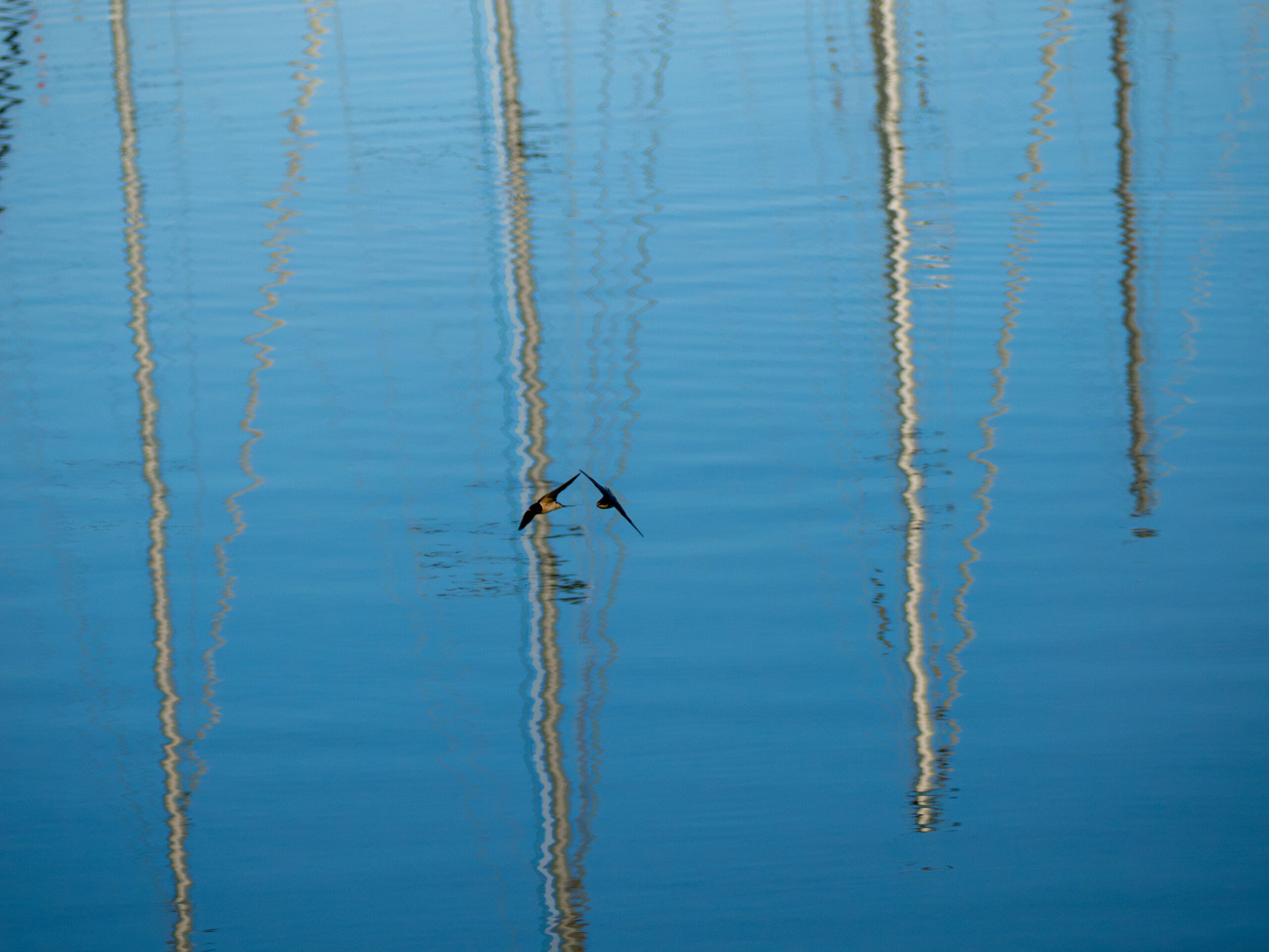 P7042333